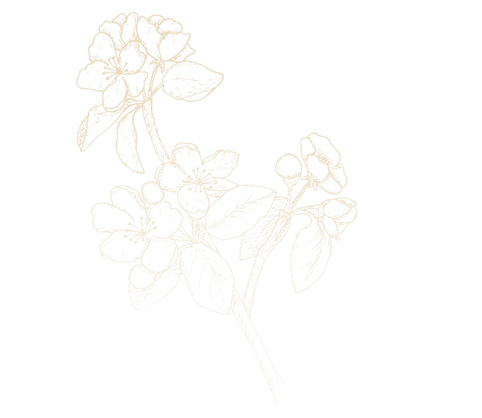 Left Departments and Forms